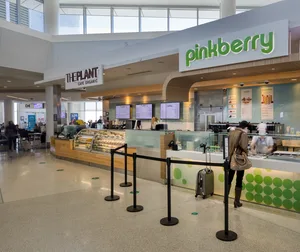 The Plant Cafe and Pinkberry Ext